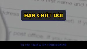 Dự Thảo Thông Tư Mới Nhất: Tránh Đánh Thuế Hai Lần & Chống Trốn Lậu Thuế Tại Việt Nam - SVS Việt Nam