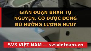Cảnh Báo SỐC: Gián Đoạn BHXH Tự Nguyện, MẤT Luôn Quyền Đóng Bù Lương Hưu? - SVS Việt Nam