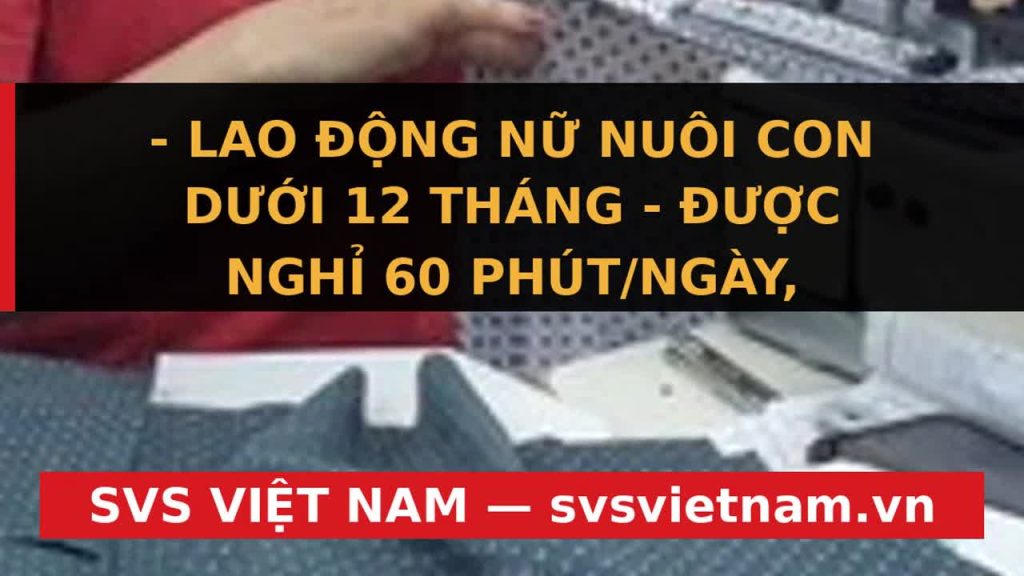 Lao Động Nữ Nuôi Con Dưới 12 Tháng: Chủ Doanh Nghiệp Có Được Ép Nghỉ Tại Công Ty? Giải Đáp Chi Tiết - SVS Việt Nam
