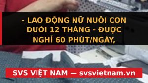 Lao Động Nữ Nuôi Con Dưới 12 Tháng: Chủ Doanh Nghiệp Có Được Ép Nghỉ Tại Công Ty? Giải Đáp Chi Tiết - SVS Việt Nam