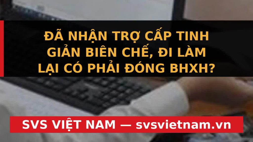 Nhận Trợ Cấp Tinh Giản Biên Chế Đi Làm Lại: Hoàn Trả Không? Cảnh Báo Mới Nhất! - SVS Việt Nam