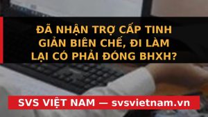 Nhận Trợ Cấp Tinh Giản Biên Chế Đi Làm Lại: Hoàn Trả Không? Cảnh Báo Mới Nhất! - SVS Việt Nam