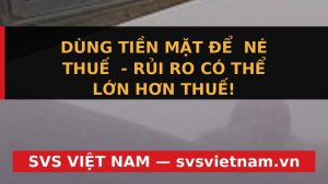 Rủi Ro Dùng Tiền Mặt 'Né Thuế': Cẩn Thận Mất Sạch Vốn! - SVS Việt Nam