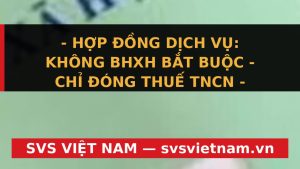 SỐC: Ký Hợp Đồng Dịch Vụ Có Cần Đóng BHXH? Tiết Kiệm Hàng Trăm Triệu Cho Doanh Nghiệp! - SVS Việt Nam