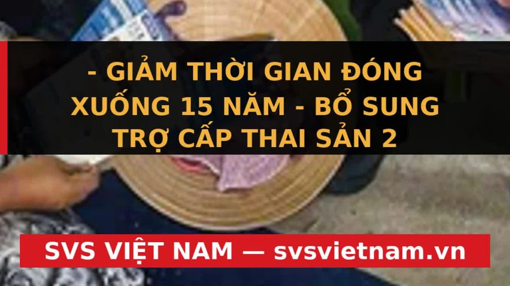 BHXH Tự Nguyện: Cơ Hội Vàng Hưởng Lương Hưu Tăng 8% & Quyền Lợi Mới Cho Lao Động Tự Do - SVS Việt Nam
