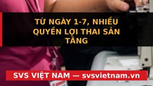 Quyền lợi thai sản tăng từ 1/7/2026: Sinh con thứ hai được nghỉ 7 tháng - SVS Việt Nam