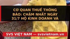 CẢNH BÁO: Hạn chót 31/7 cho Doanh nghiệp & Hộ kinh doanh – Kê khai thuế ngay! - SVS Việt Nam