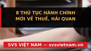 Cảnh Báo Nóng: 8 Thủ Tục Thuế, Hải Quan Mới 2025 - Doanh Nghiệp Có Nguy Cơ Mất Tiền Tỷ! - SVS Việt Nam