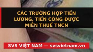 Cảnh Báo SỐC: Quy Định Mới Miễn Thuế TNCN 2026 Nghỉ Phép, Làm Thêm Giờ KHÔNG NHƯ BẠN TƯỞNG! - SVS Việt Nam