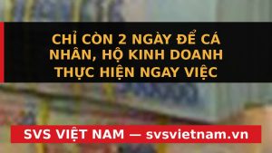 KHẨN CẤP: Hạn Chót Nộp Thuế VAT, TNCN Quý 2/2026 - Ngày 31/07/2026! Tránh Phạt Nặng Đến 25 Triệu Đồng - SVS Việt Nam