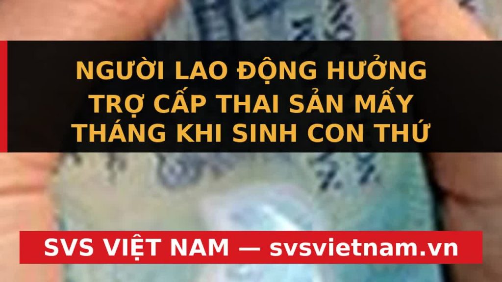 Cập nhật 2026: Chế độ Thai sản Con thứ Hai Tăng 7 Tháng - Doanh nghiệp cần biết! - SVS Việt Nam