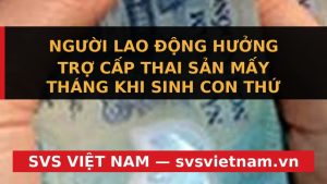 Cập nhật 2026: Chế độ Thai sản Con thứ Hai Tăng 7 Tháng - Doanh nghiệp cần biết! - SVS Việt Nam