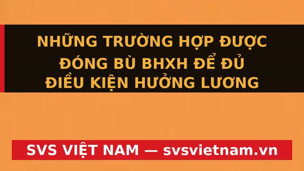 Cơ Hội Vàng 2025: Đóng Bù BHXH Nhận Lương Hưu Sớm Nhờ Luật Mới - SVS Việt Nam