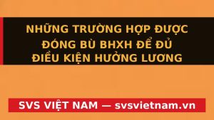 Cơ Hội Vàng 2025: Đóng Bù BHXH Nhận Lương Hưu Sớm Nhờ Luật Mới - SVS Việt Nam